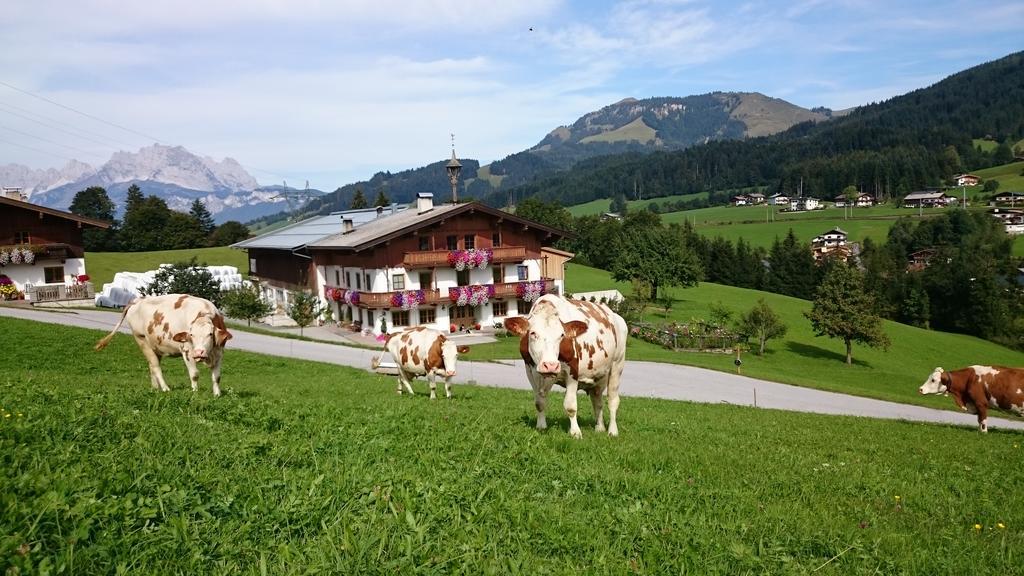 Bio-Bauernhof Niederlehen Villa Fieberbrunn Exterior photo