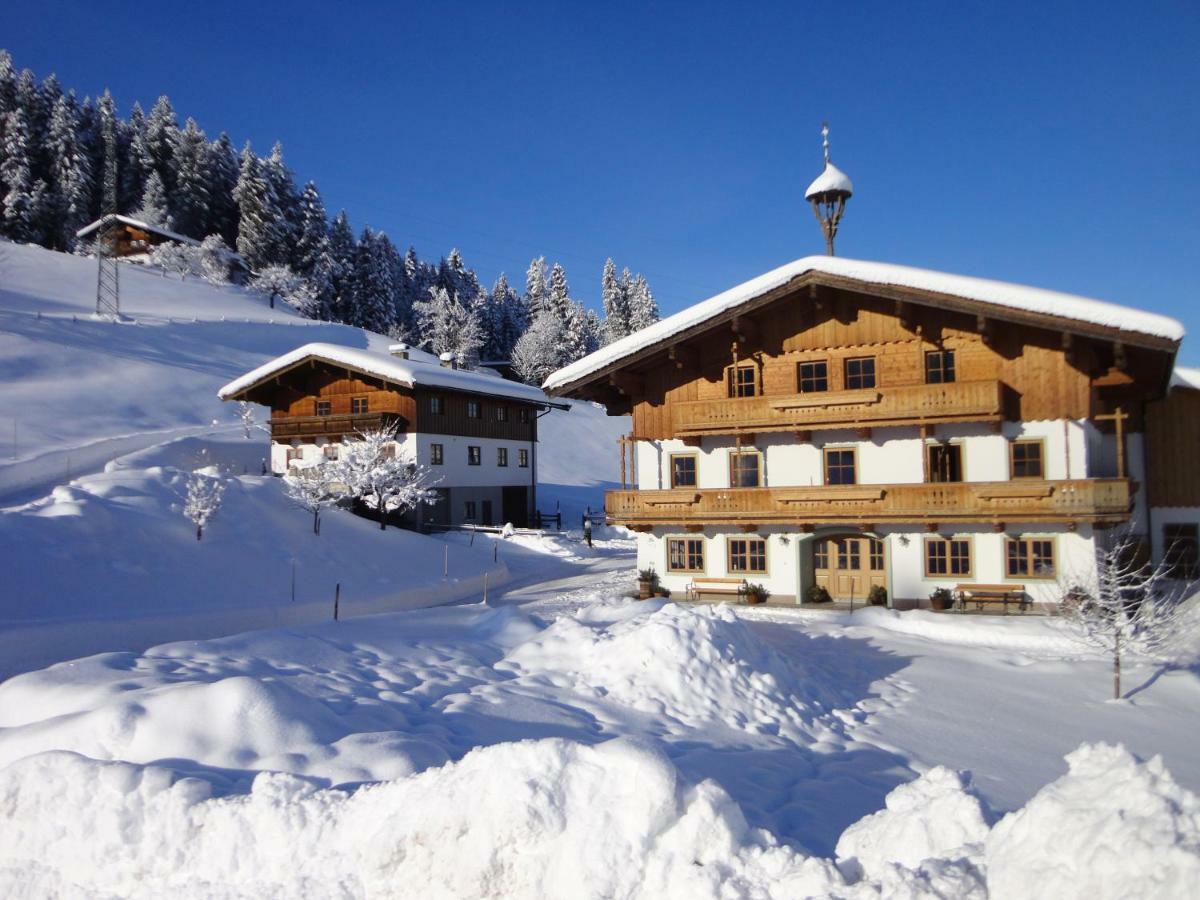 Bio-Bauernhof Niederlehen Villa Fieberbrunn Exterior photo